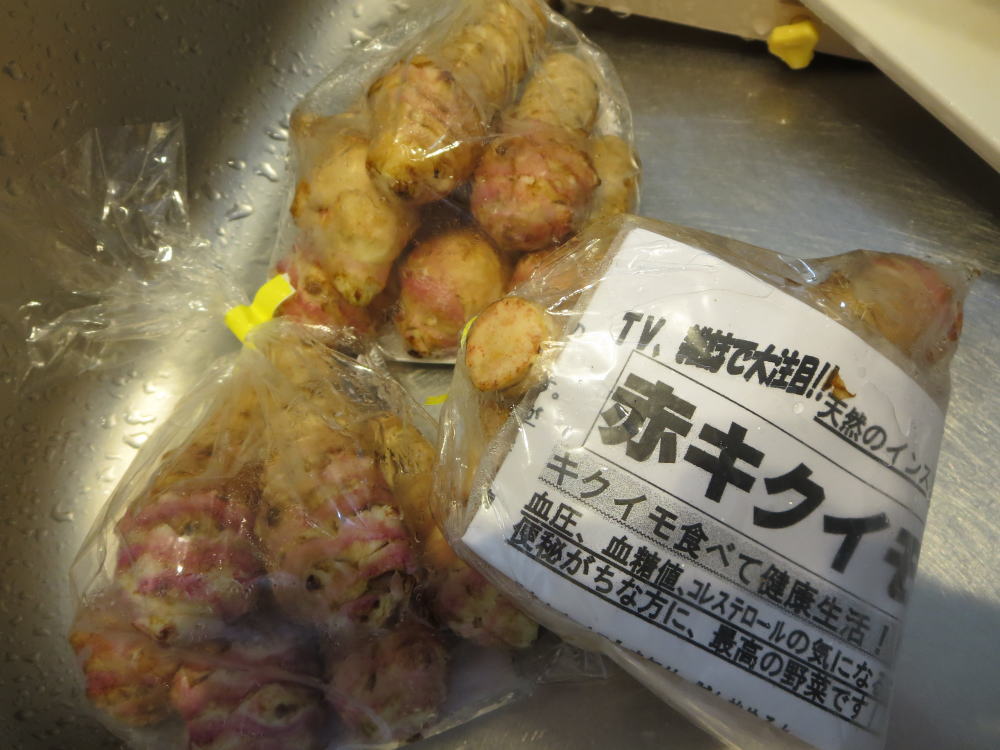 菊芋(赤キクイモ)