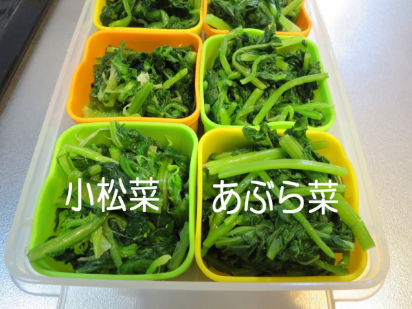 小松菜とあぶら菜の冷凍保存