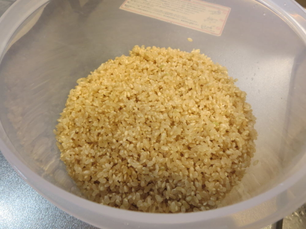 洗った玄米を保存容器に入れ、水を入れて発芽させる