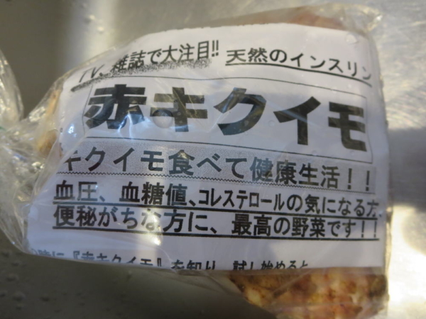 菊芋(赤キクイモ)
