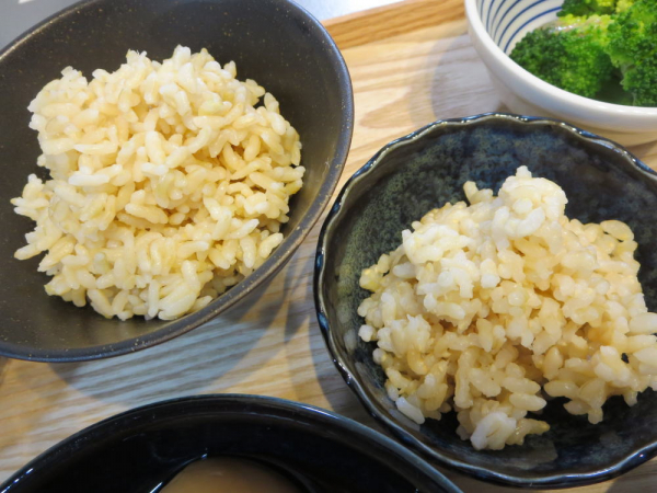 ファンケルの発芽米ごはんレトルトと自分で炊いた発芽米を食べ比べ