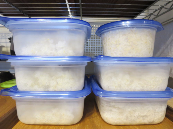 白米と発芽米(ファンケル)ごはんを冷凍保存