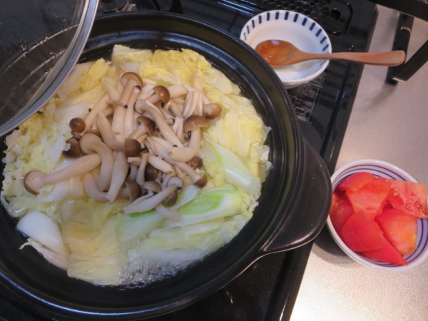 鶏だしうま塩(鍋キューブ)で野菜鍋