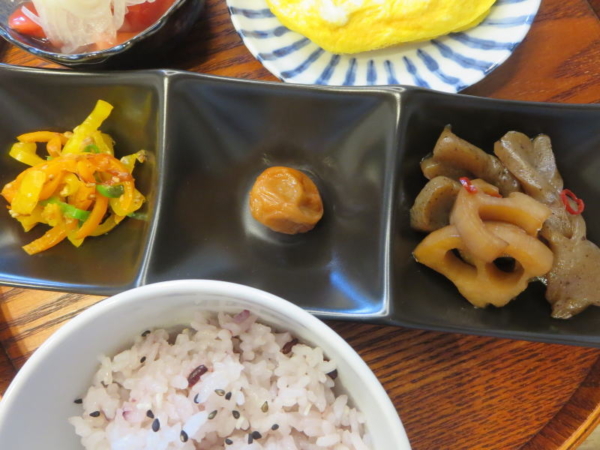 無限ピーマン風、梅干、こんにゃくとれんこんの煮物