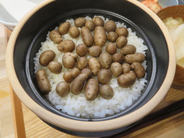 かまっこでむかごごはん