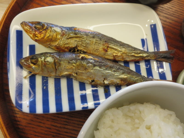 いわしの丸干し