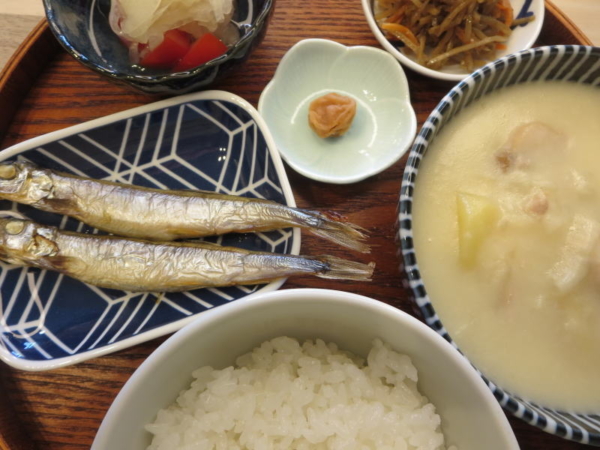 焼ししゃも、シチュー(前日の残り)、梅干、きんぴら(市販チルド)、トマトの酢玉ねぎのせ